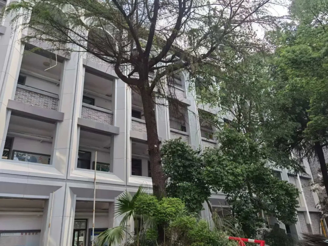 教育建筑083